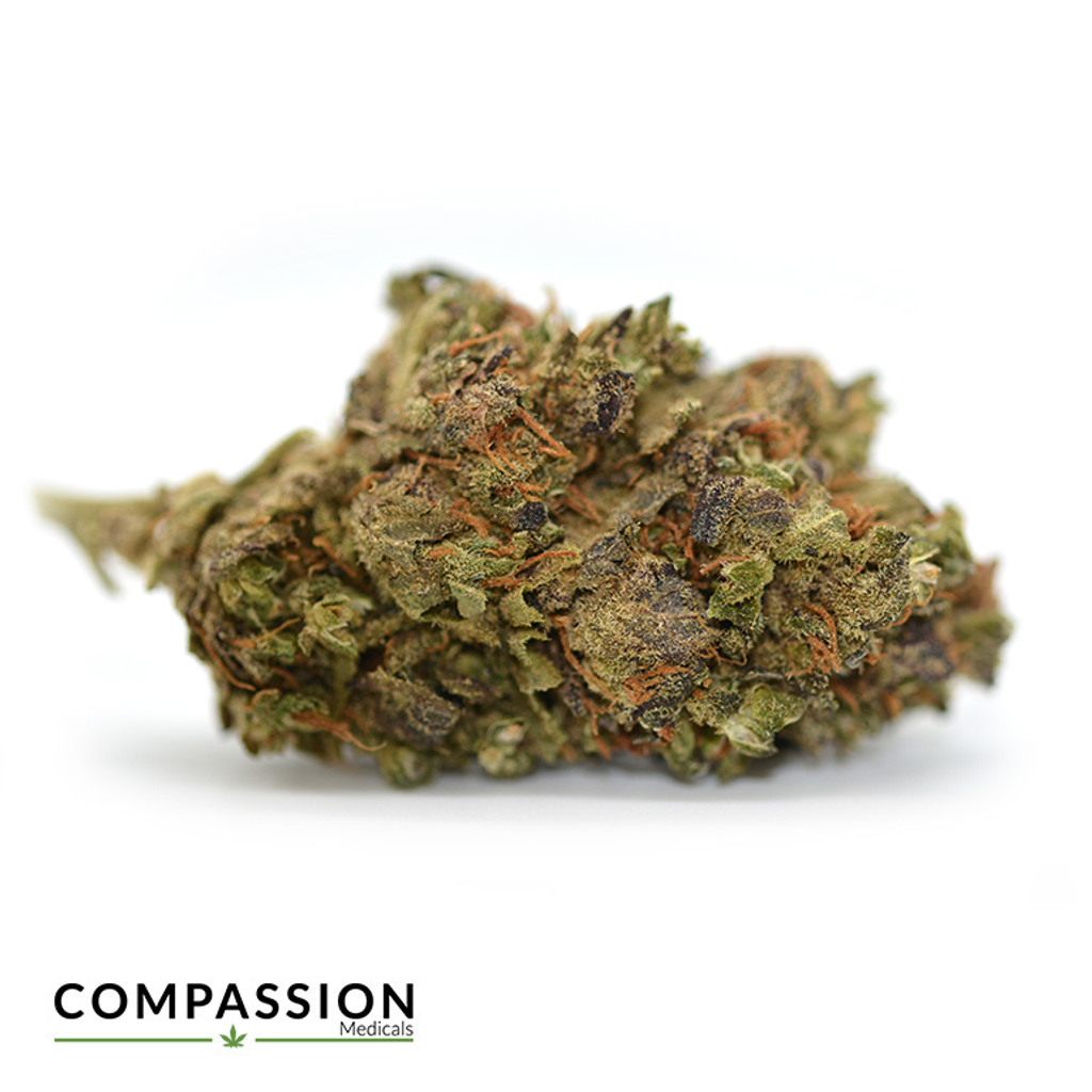 Purple Rockstar