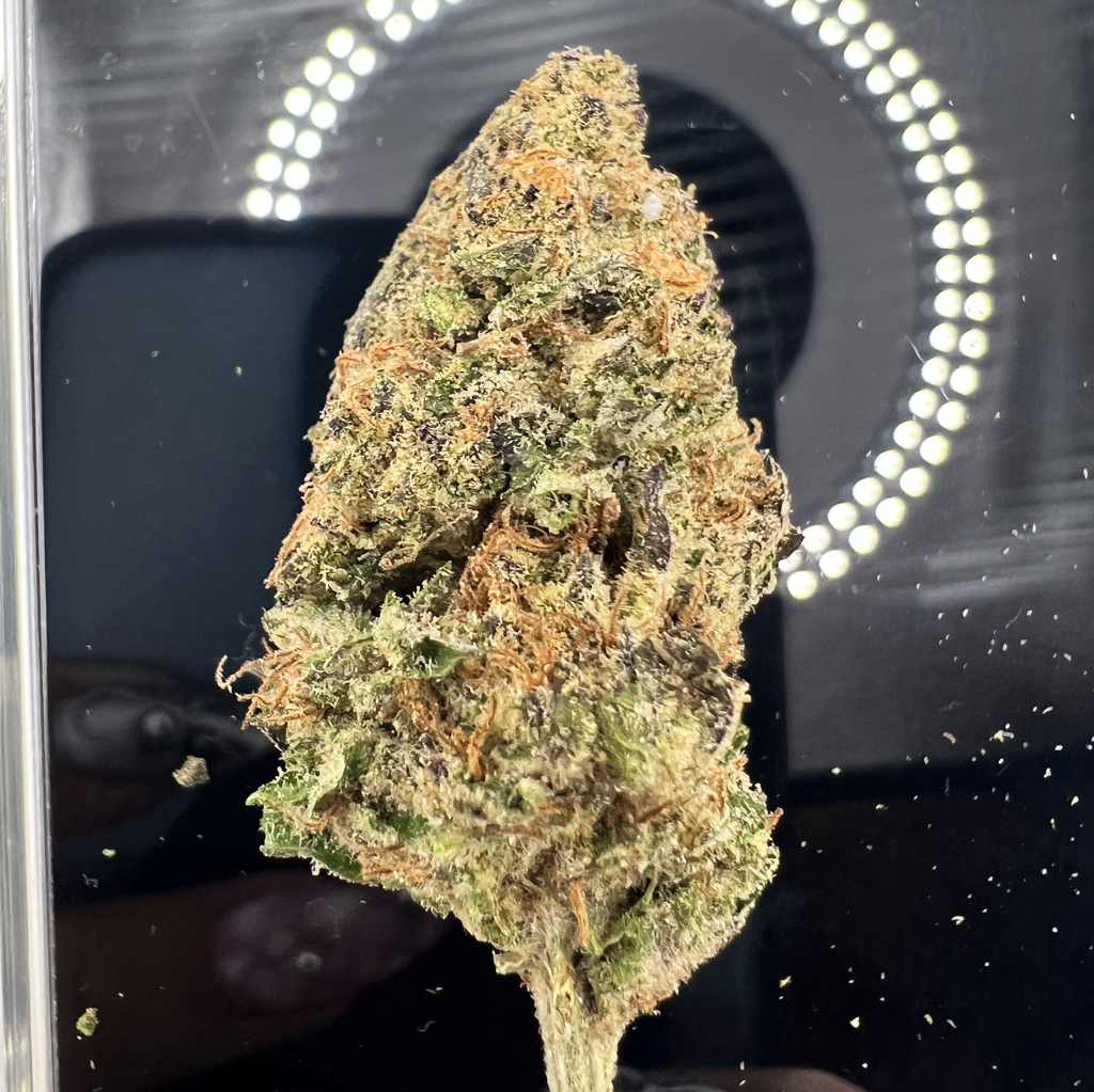 *NEW* Bubba Kush 4A
