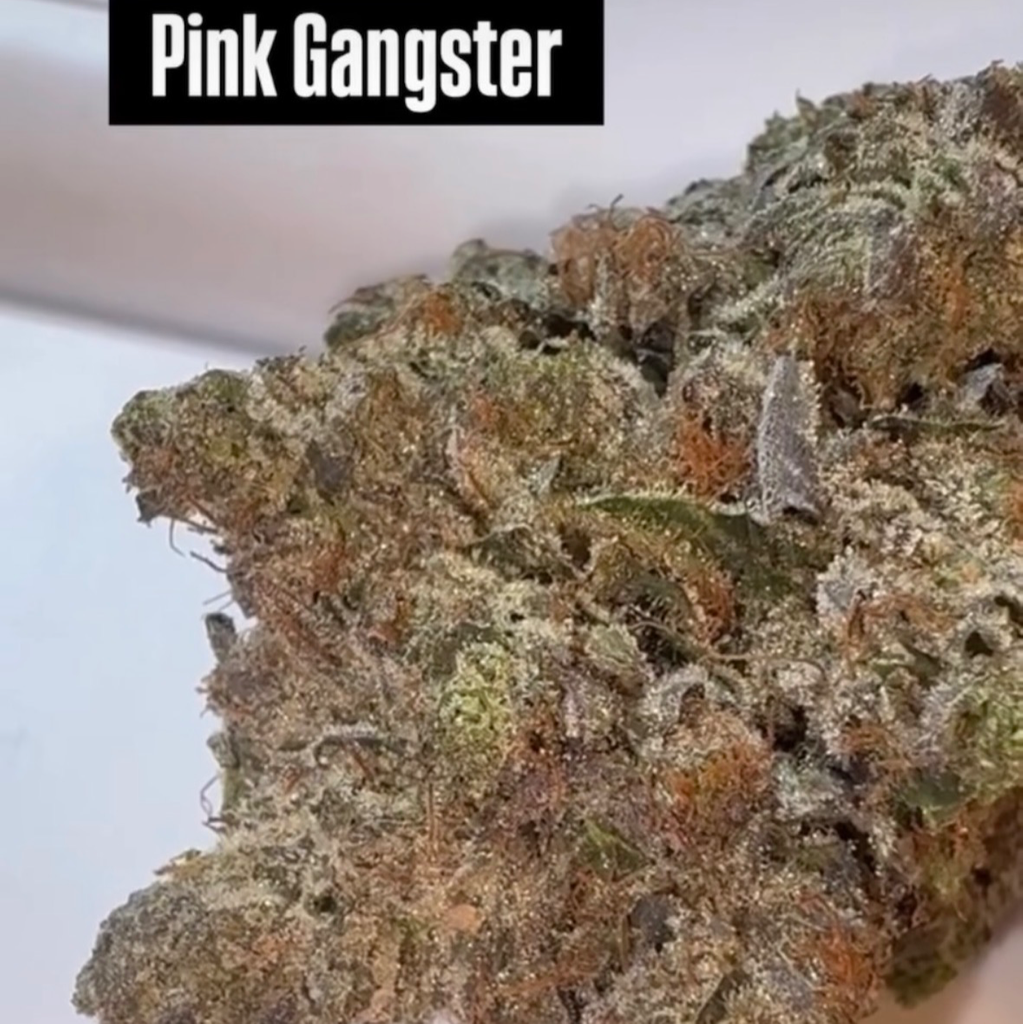 Pink Gangster