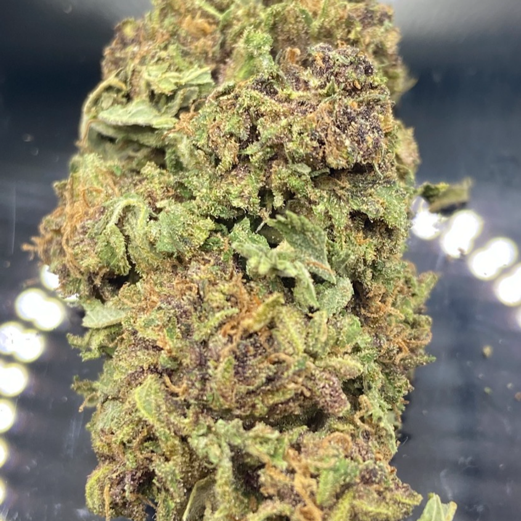 * NEW *  Violator Kush AA LOCAL [ $200 for 4 oz]