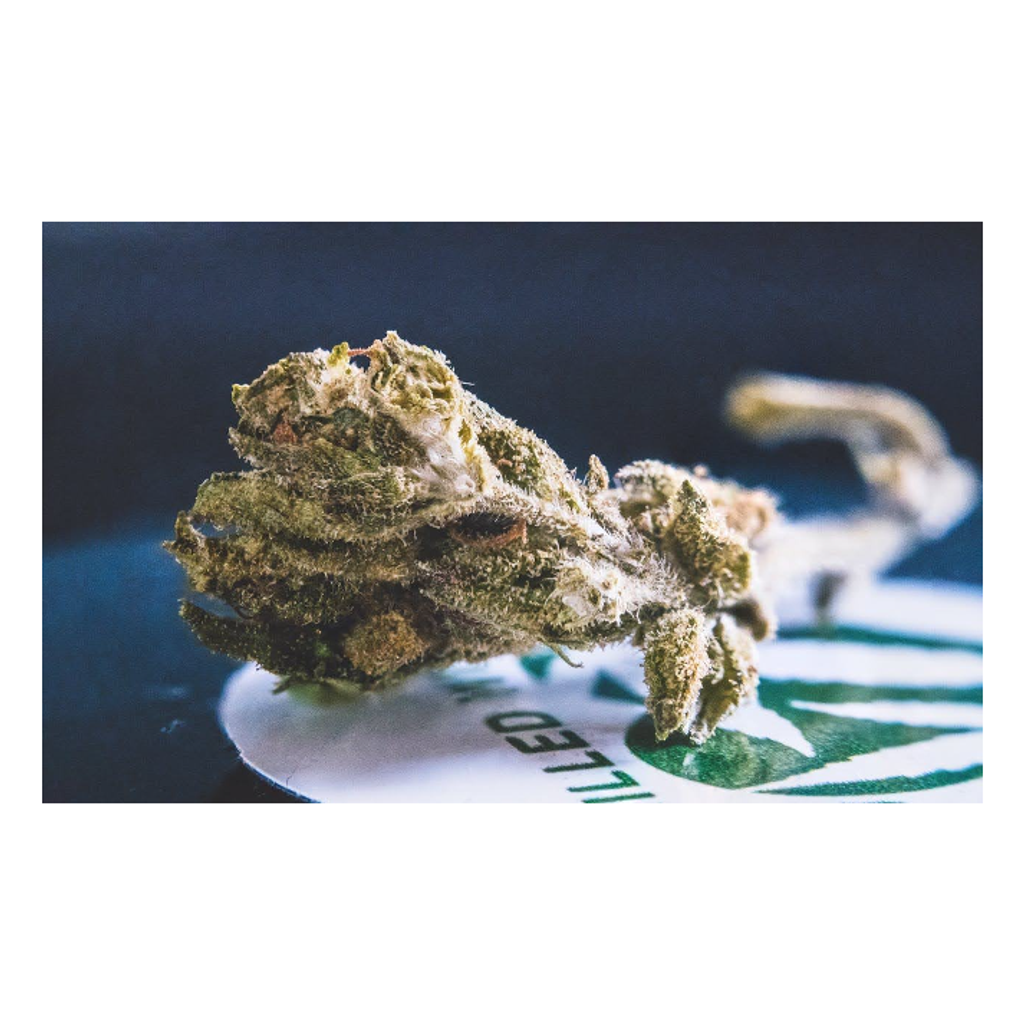 Best Weed Delivery in Markham - Top 2 Providers