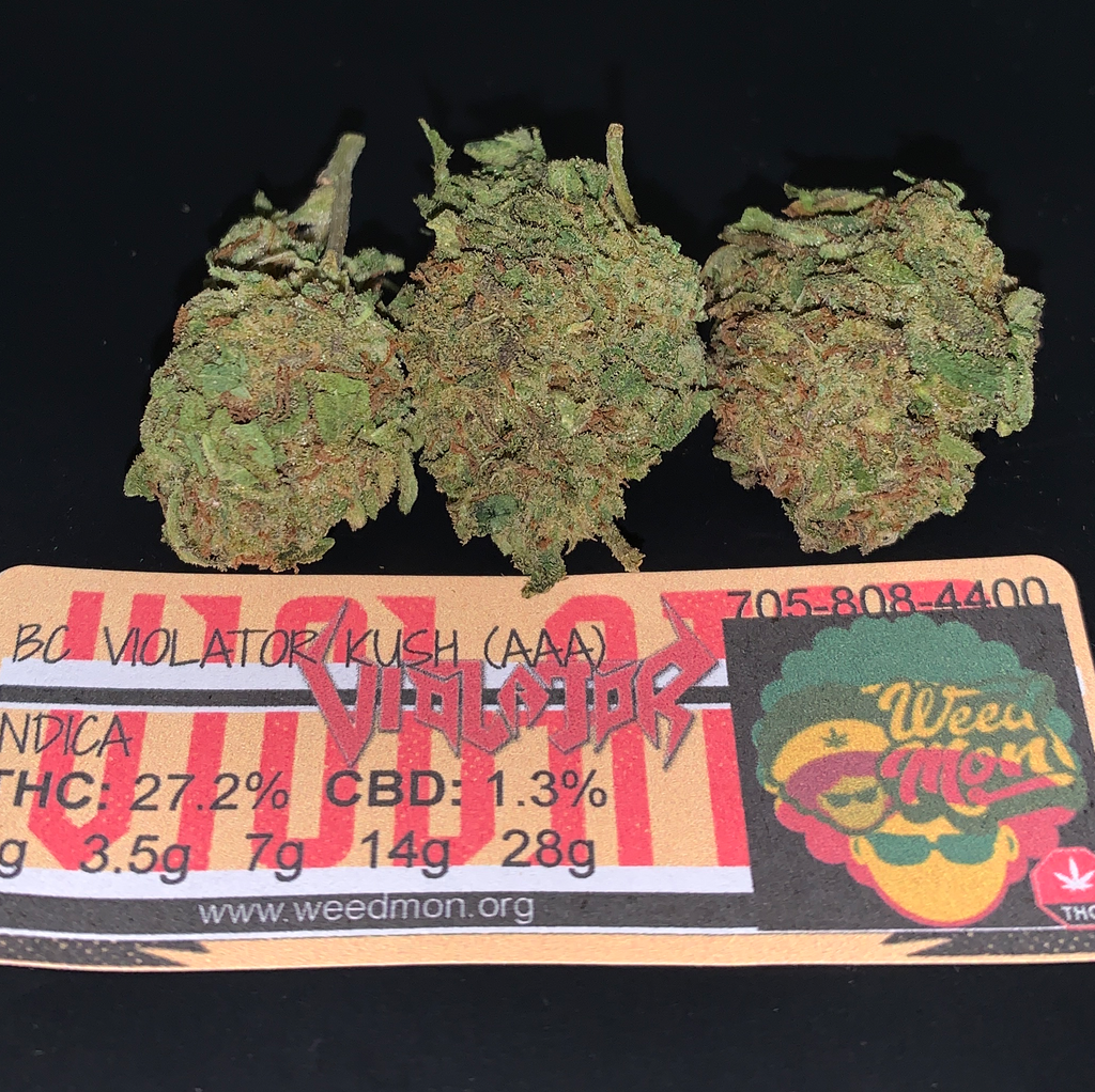 ***NEW*** BC Violator (AAA) 27.2% THC 1.3% CBD 