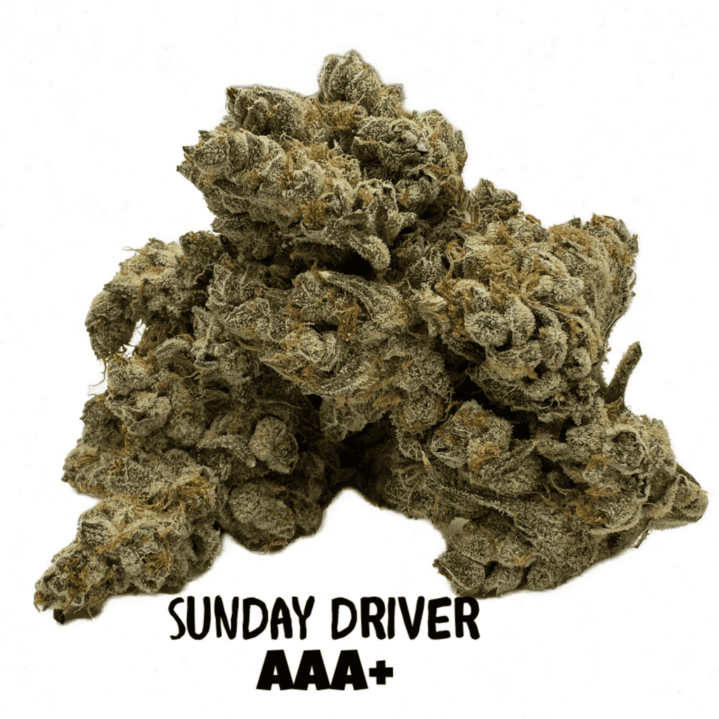 SUNDAY DRIVER AAA+