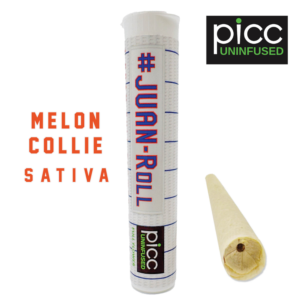 #JUAN-ROLL - Melon Collie 1g Preroll | PICC