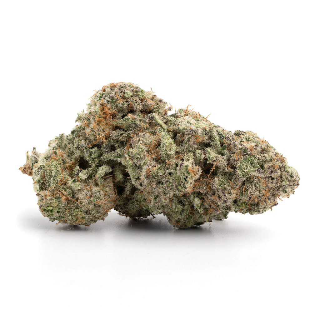 ANIMAL COOKIES