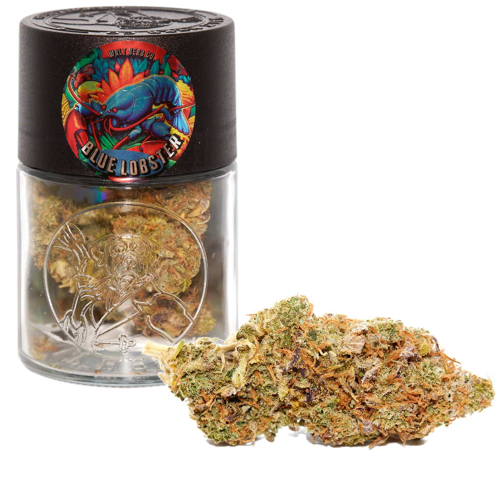 BLUE LOBSTER🔵🦞 WALT HERB 7G JAR  - 60/40 INDICA 