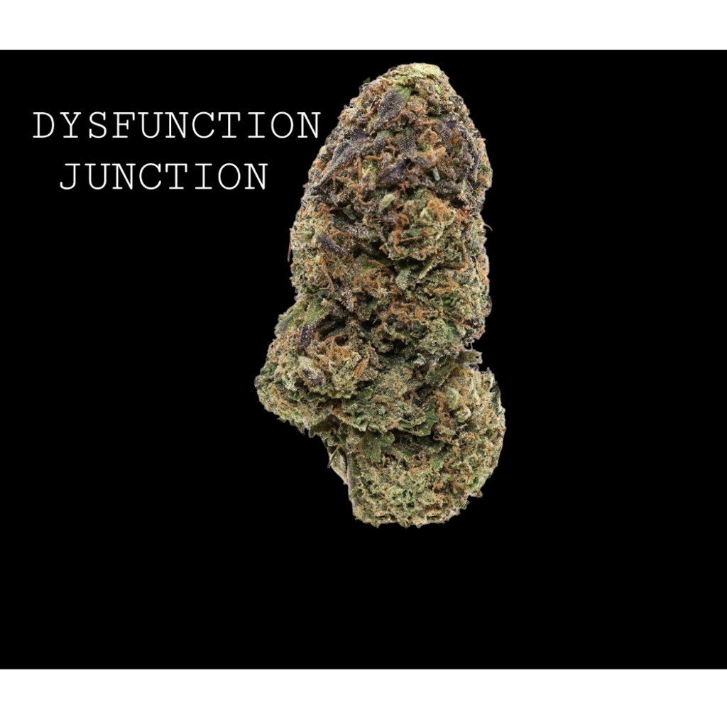 DYSFUNCTION JUNCTION