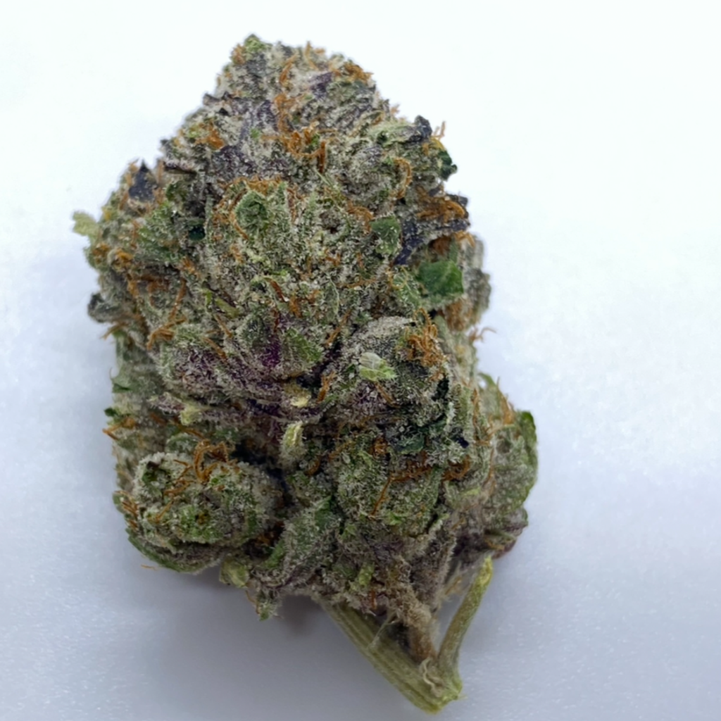 *CRAFT QUAD* MK Ultra