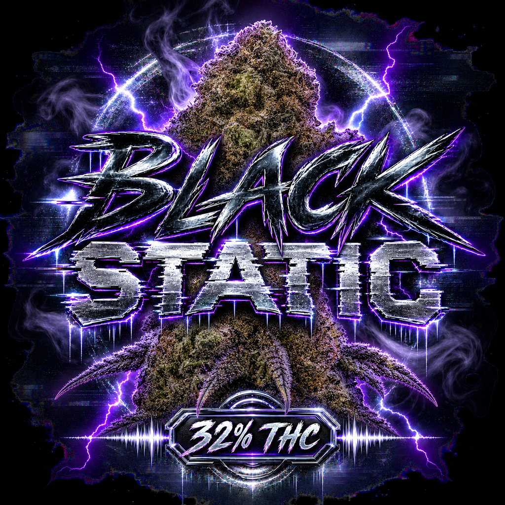 BLACK STATIC🔥🔥🔥🔥🔥 