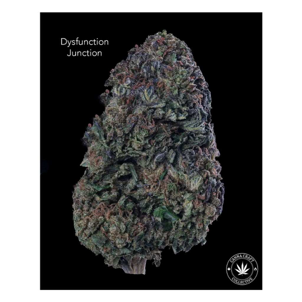 AA+ - DYSFUNCTION JUNCTION