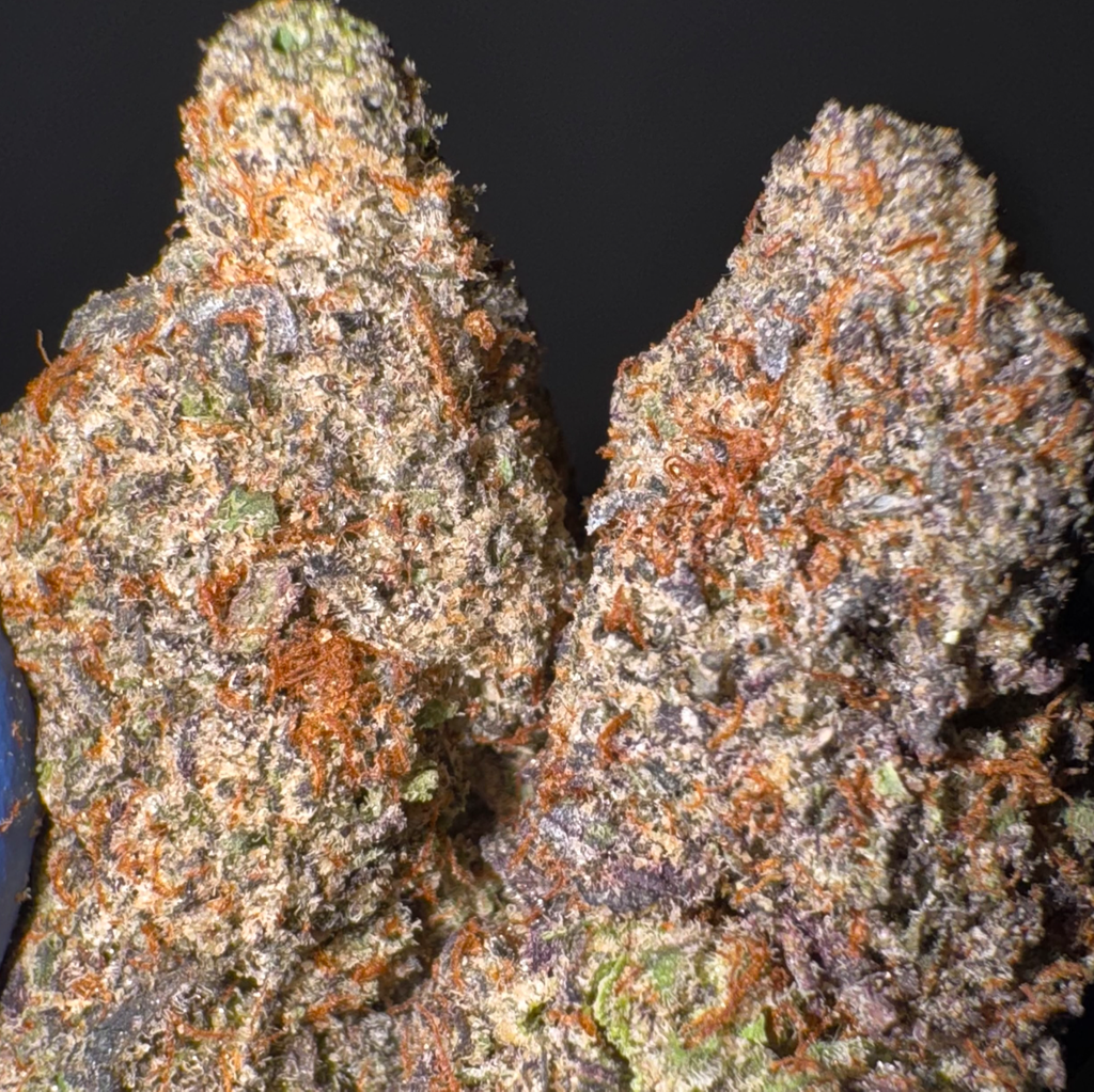 (NEW) Pink Bubba AAAA+