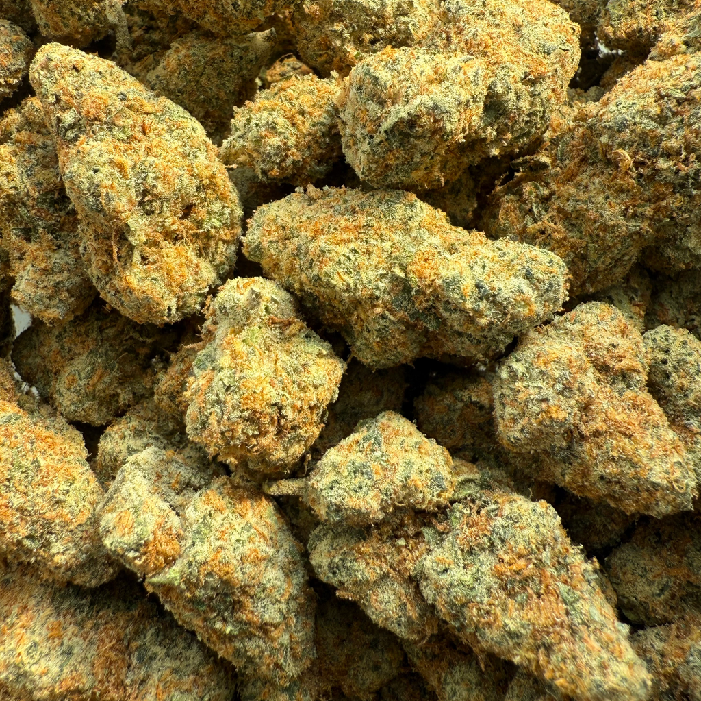 ASTRO POP 100OZ 2FOR180 4FOR340 