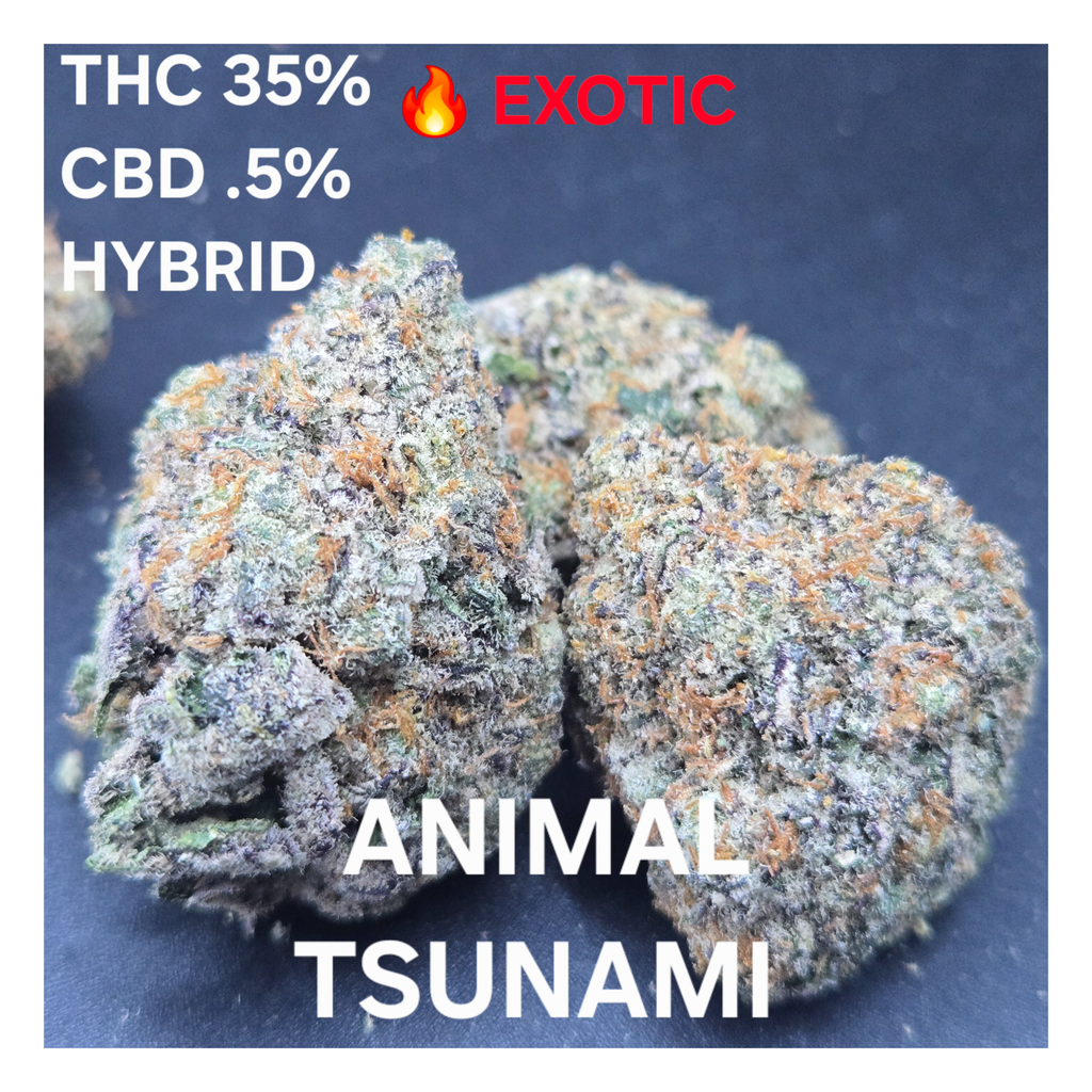  (BUY. 2 OZ FOR $280 or $295 Emt) 35% THC OZ-$165 1/2 0Z- $85 1/4 -$50 1/8-$35  - - - duplicate