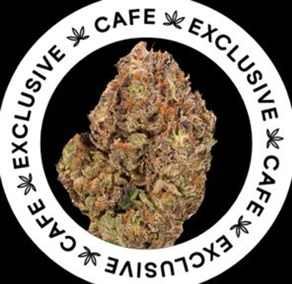 7G CAFE EXCLUSIVES- PINK ICE CREAM