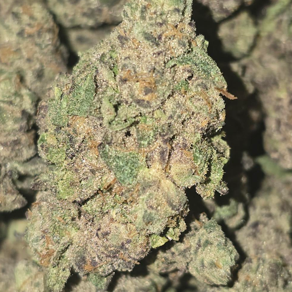 FRUMPZ 100OZ 2FOR180 4FOR340