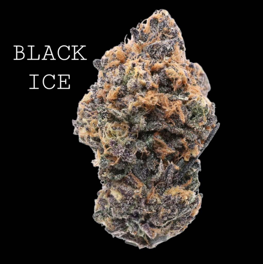 BLACK ICE