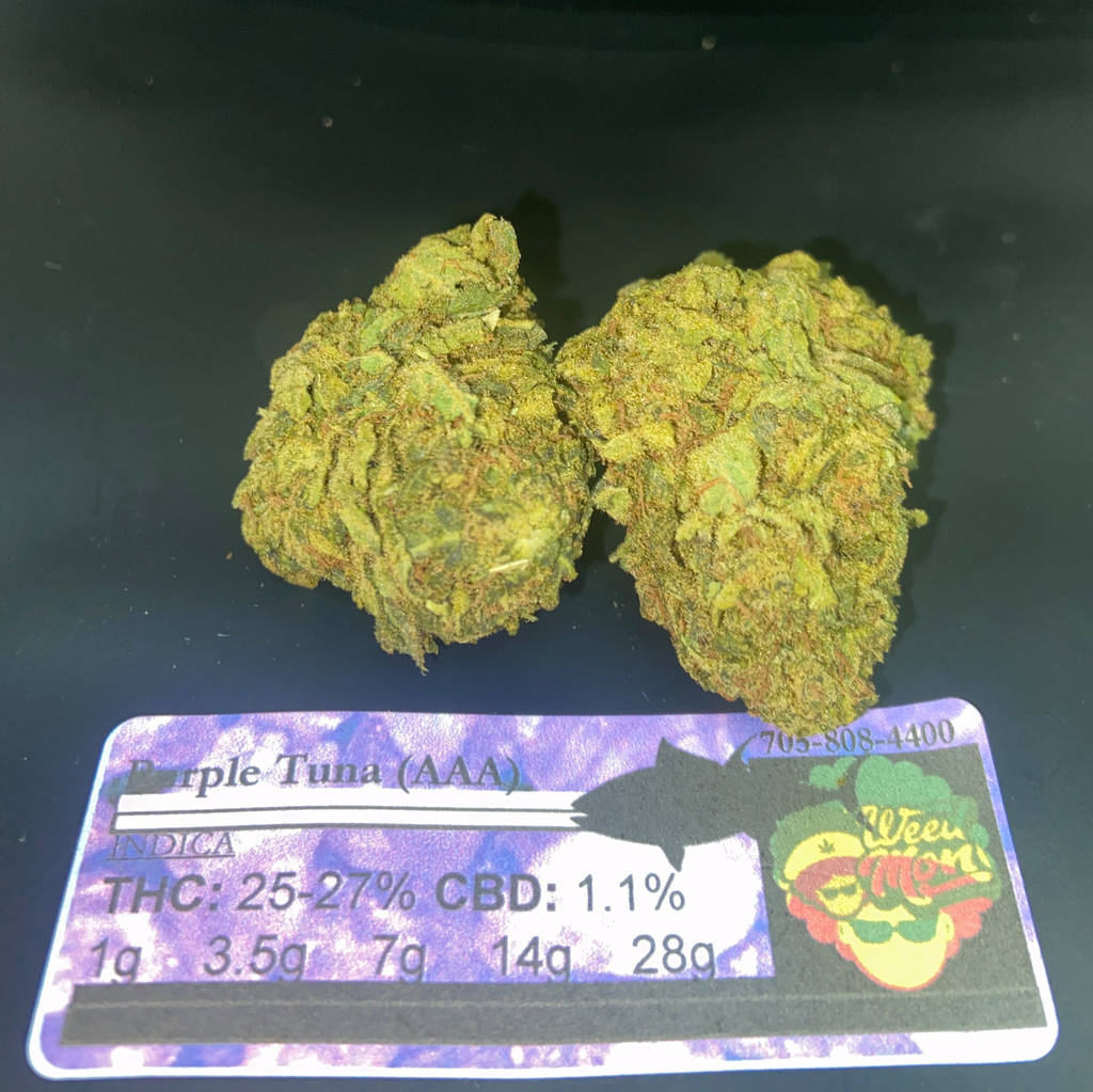 ***NEW $60/Oz*** Purple Tuna Kush (AAA) 25-27% THC 1.1% CBD