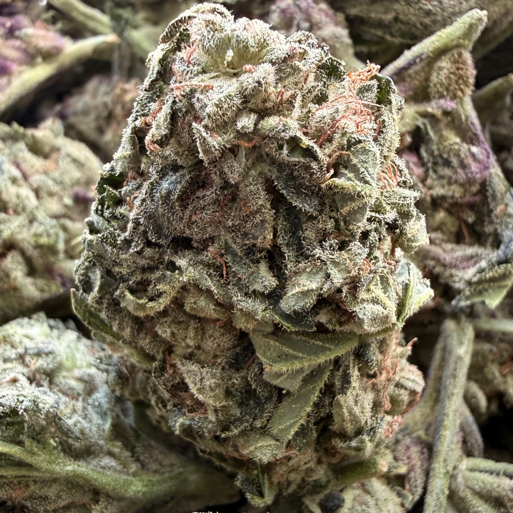AFGHANI APRICOT 70OZ 2FOR70 4FOR130 8FOR250 1LB480