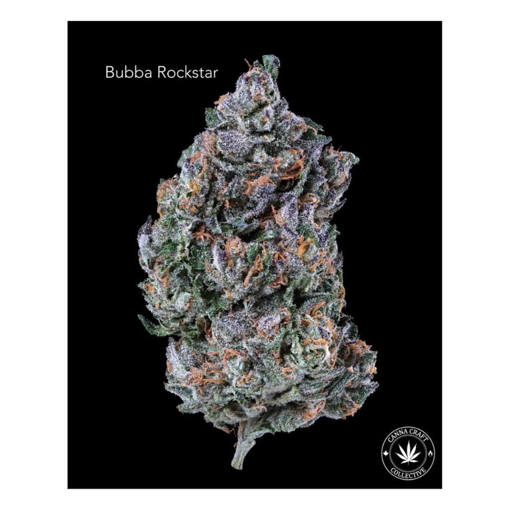 AAA++ - BUBBA ROCKSTAR