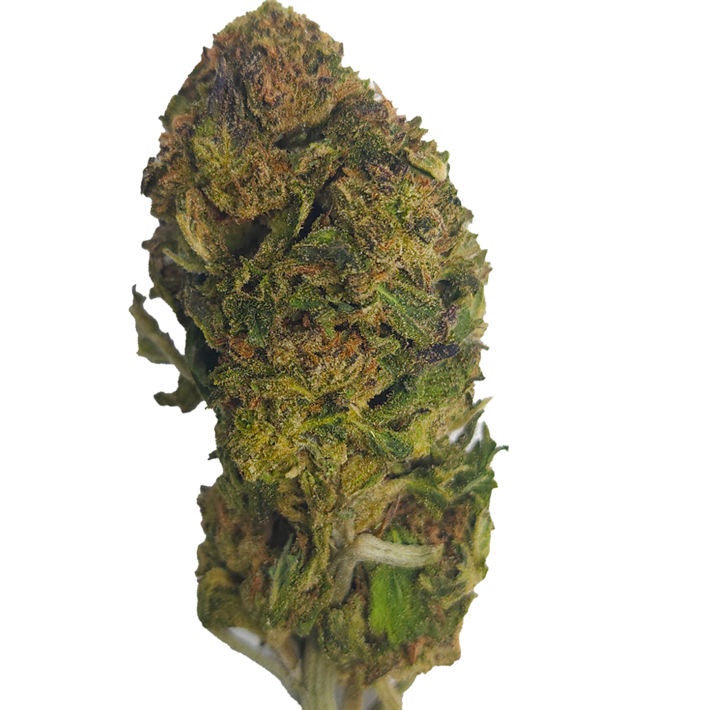 BC (AAA) JUNGLE MINTS