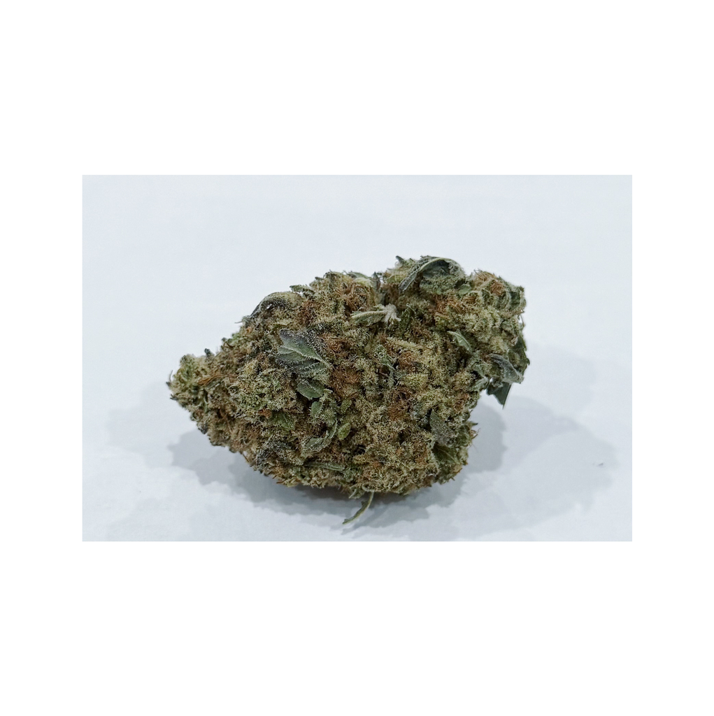 BLACK GAS 95oz 