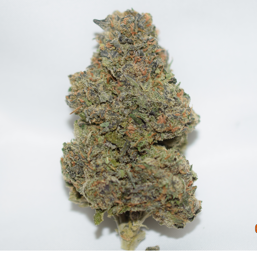 Acapulco Gold Sativa Dominant Hybrid AAA+