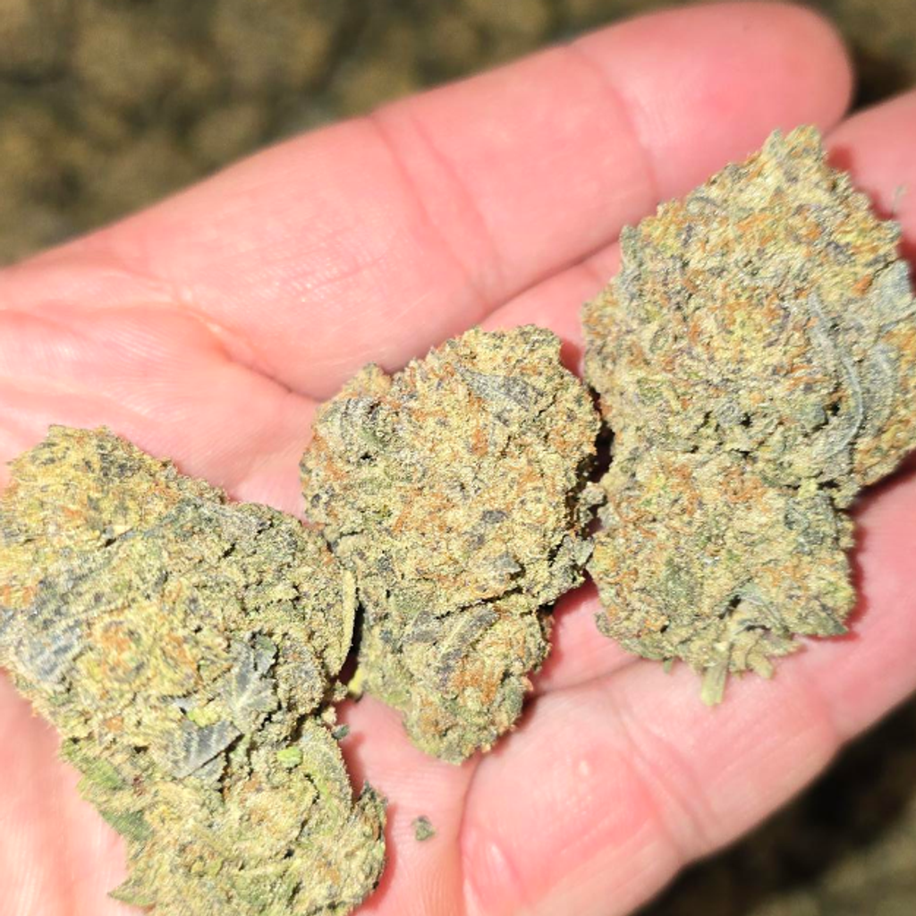 DANTES INFERNO ***SALE***85OZ 2FOR160 4FOR3000