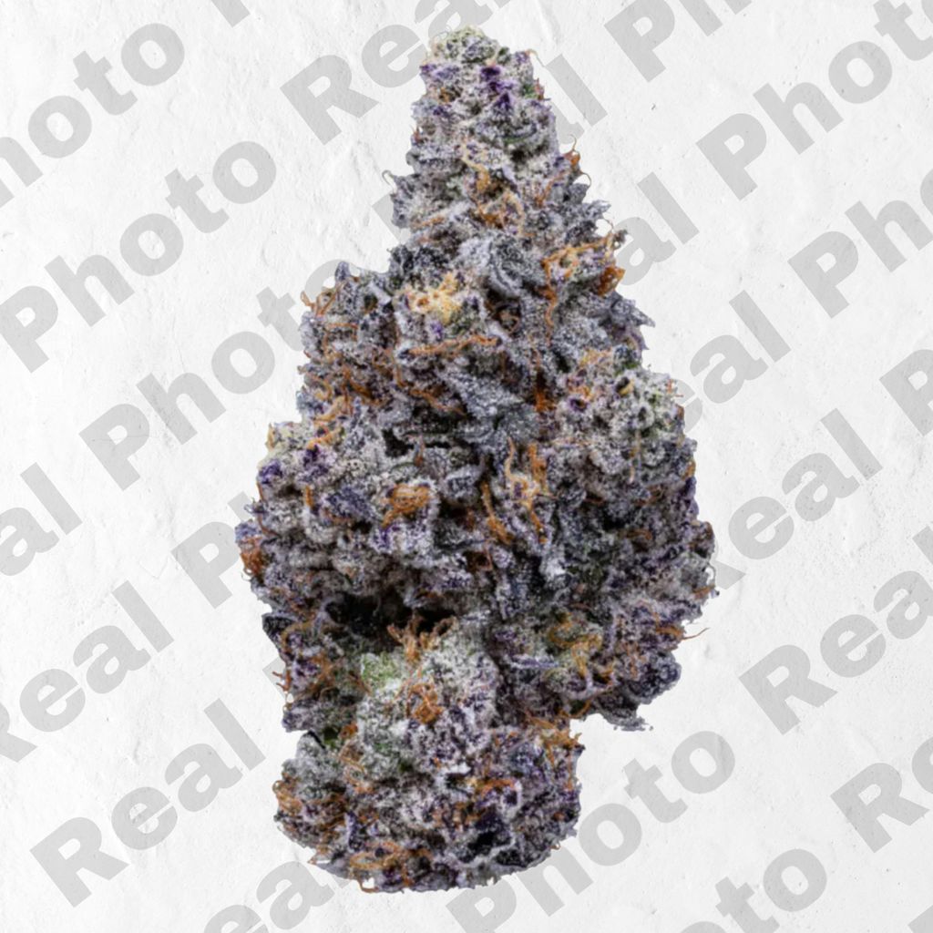 Frozen Cookie - Topshelf Indoor - New Drop - Hybrid