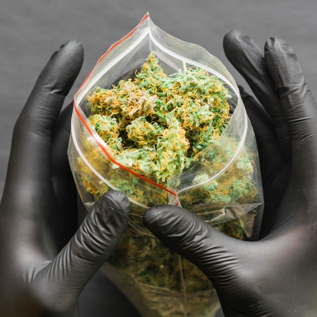 How to Choose the Right Cannabis Dispensary in Fresno