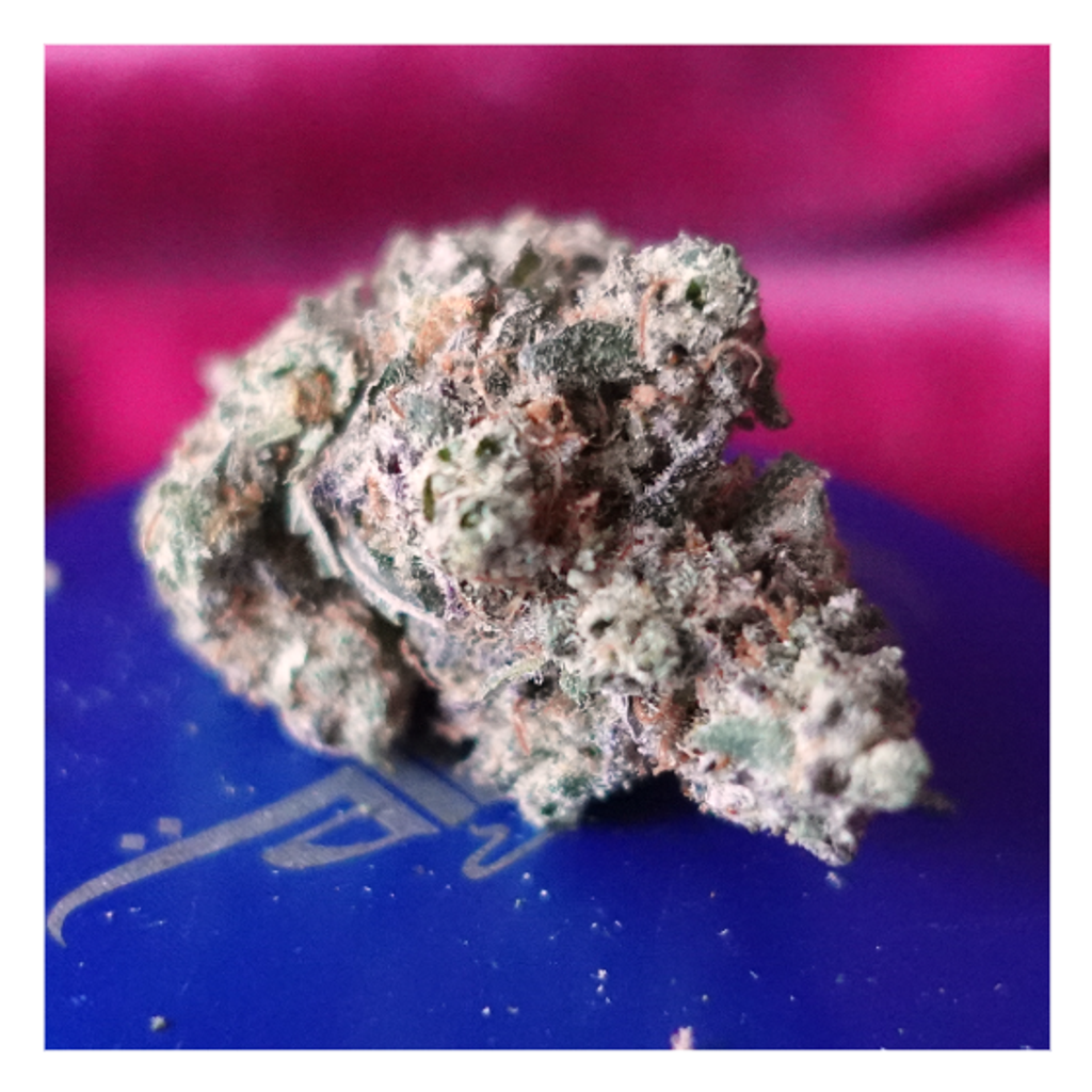 *NEW* Blueberry Kush (7g-$50/14g-$70/28g-$130) (27% THC)