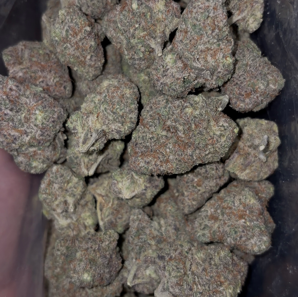 Dino Poop - | 2oz’s for $280 |