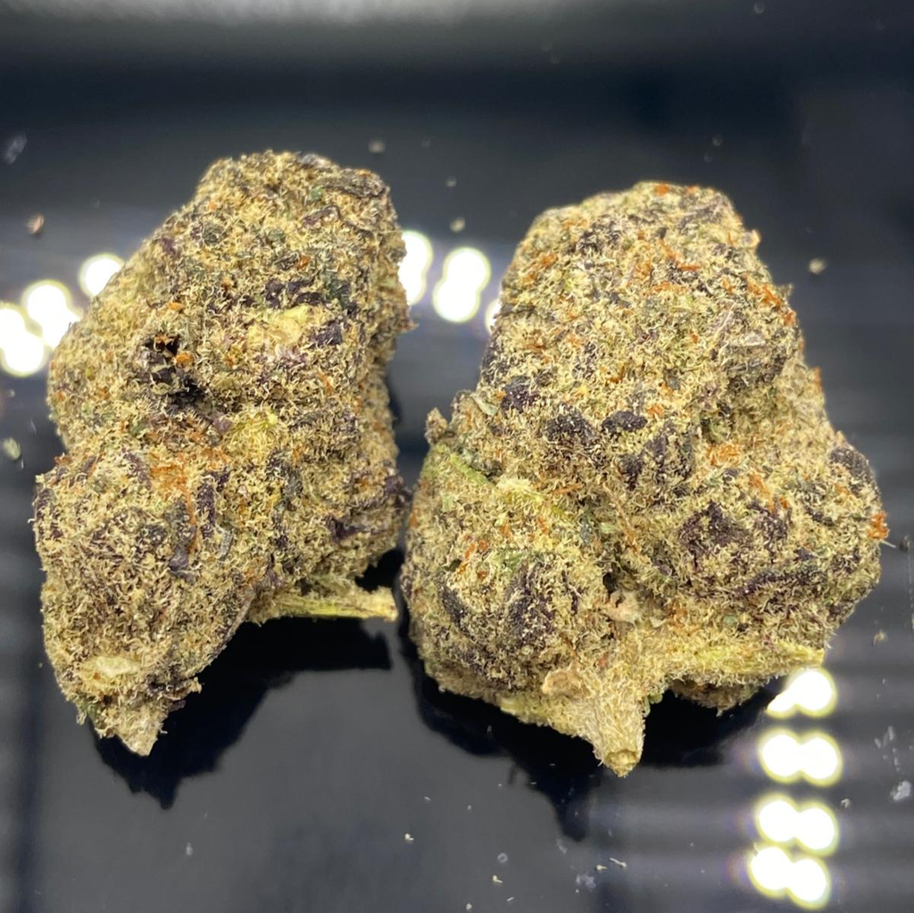 *NEW* Goat Gas