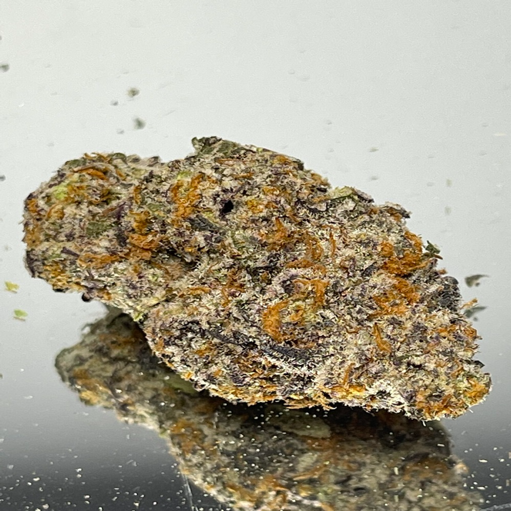 "Premium" Amnesia Gold - Hybrid 70% Sativa / 30% Indica - THC 30%
