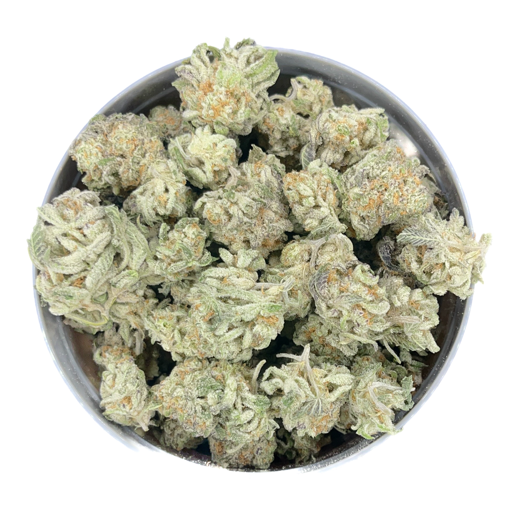 POLAR GELATO *POPCORN* - 
