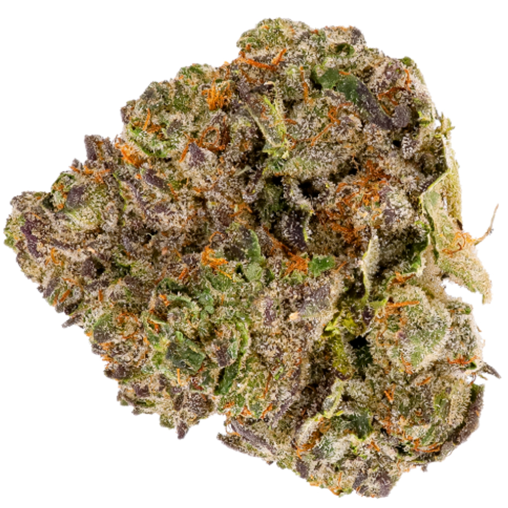 ISOLATION PINK - HIGH QUALITY 