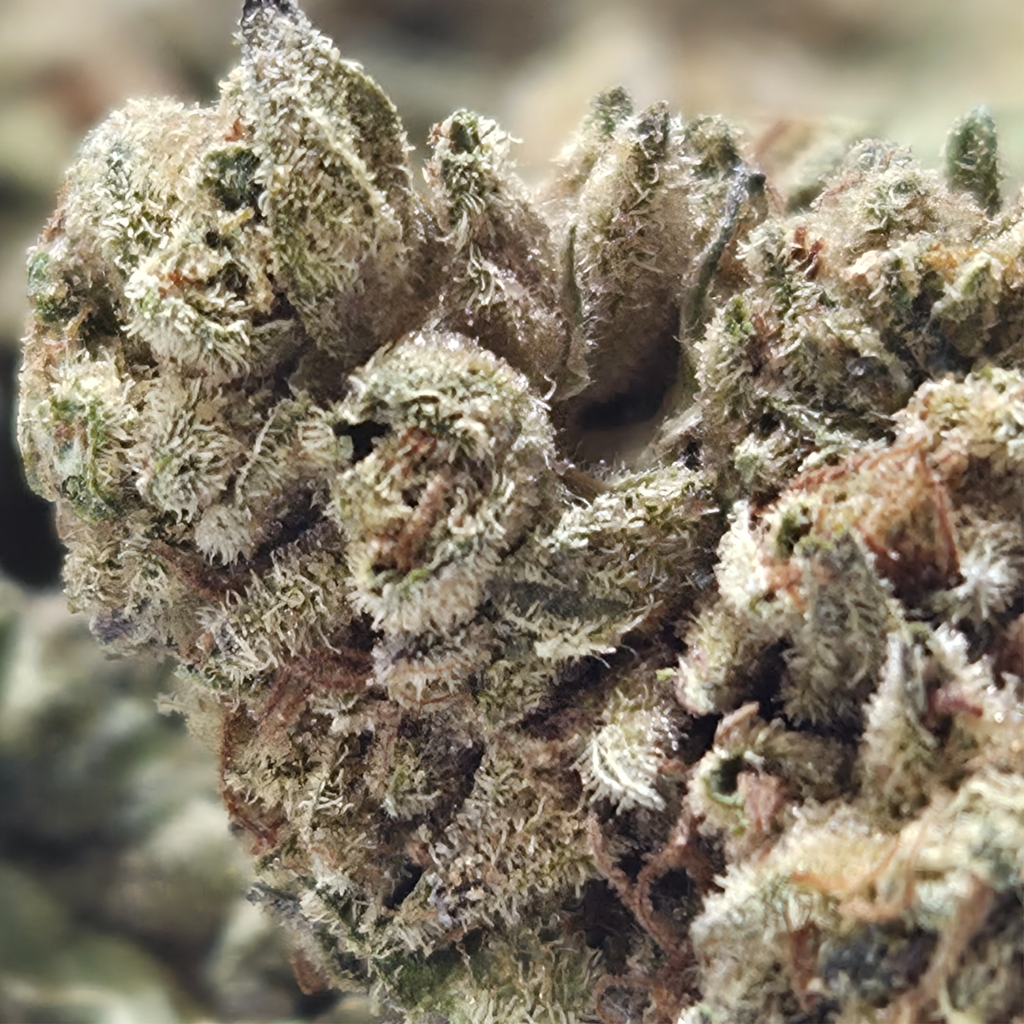 (NEW) O.G 🔥 ($50/oz Two for $85) 🔥  