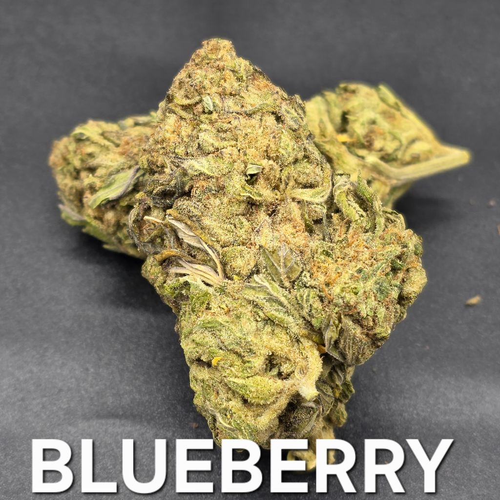 Blueberry Indica Dominant 