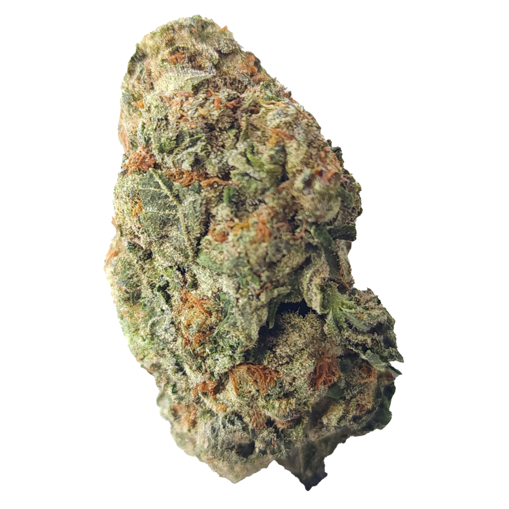 BC (AAA)  WHITE SKUNK