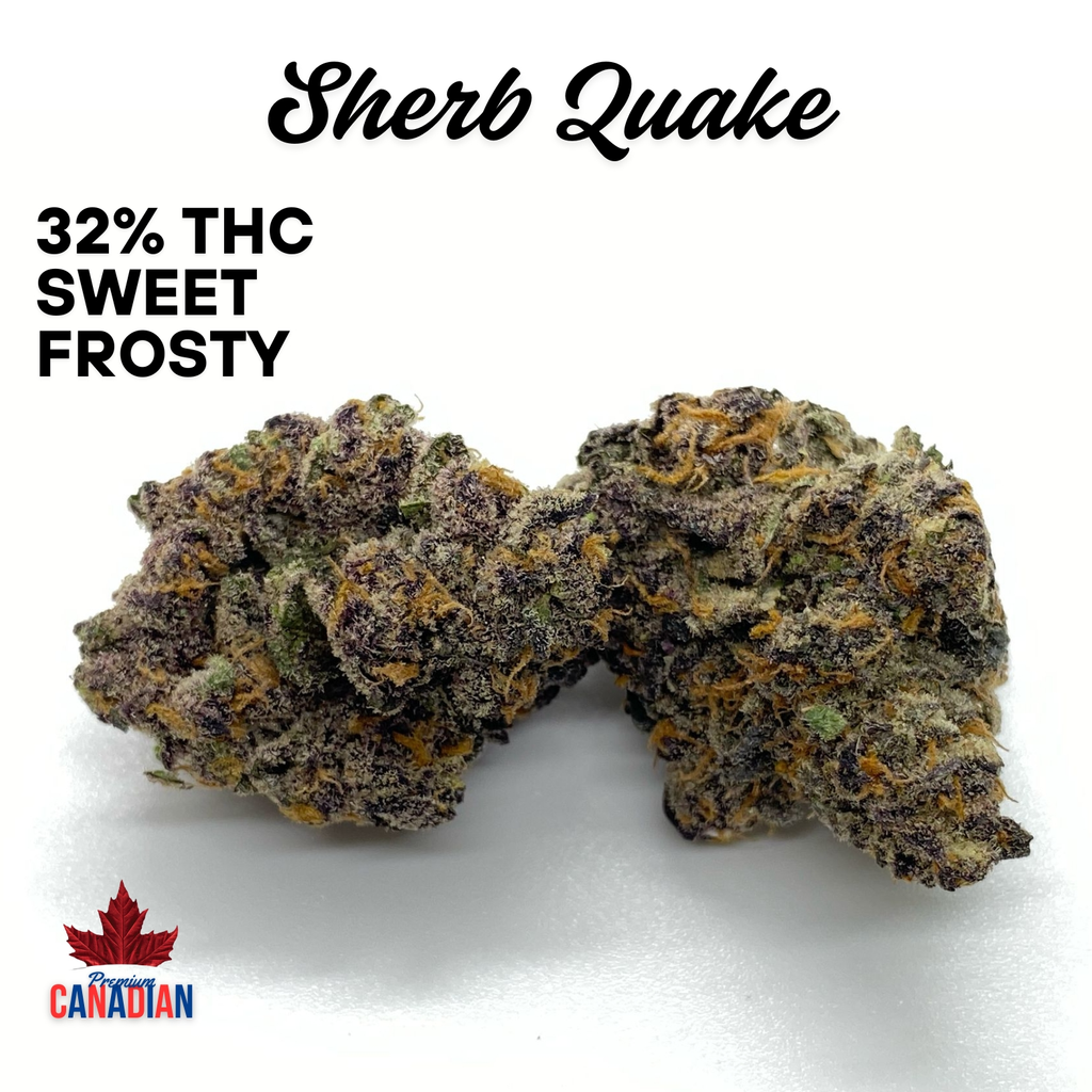 ( QUAD EXO ) $120 SHERB QUAKE | 2 OZ $180