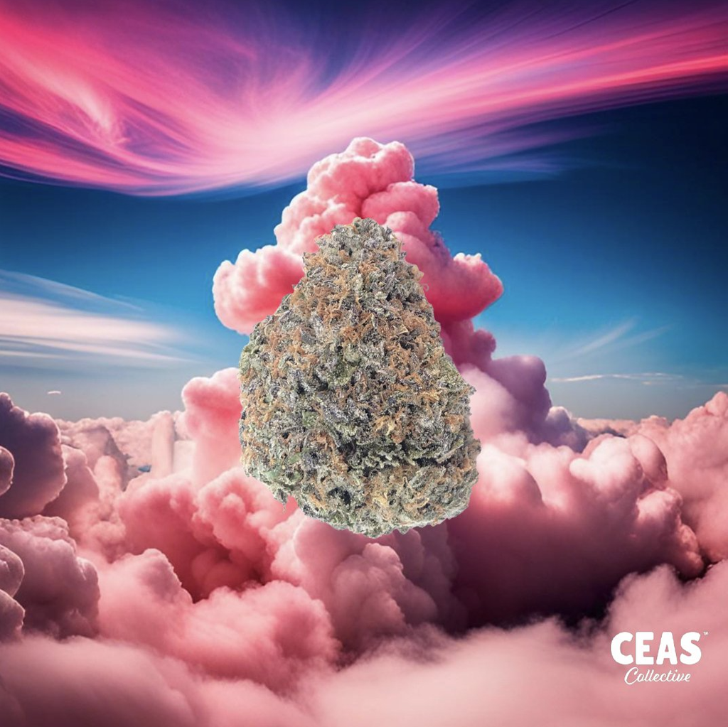 Cotton Candy 7g - CEAS