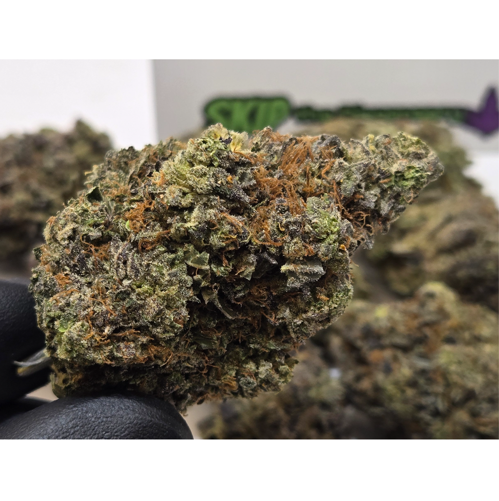 (NEW 📢) Pink Paradise 🏝🍹 