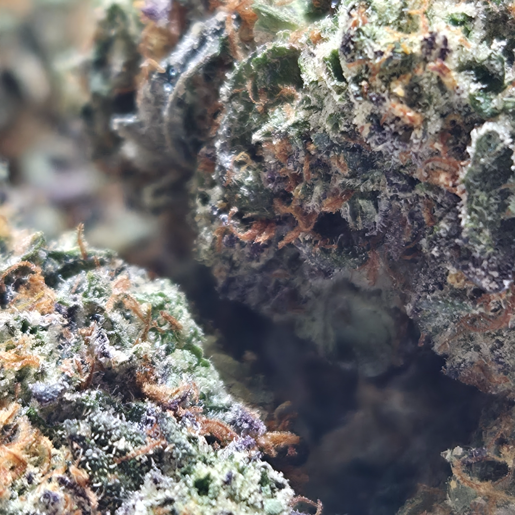 (NEW) Puddin Pop 🍮 