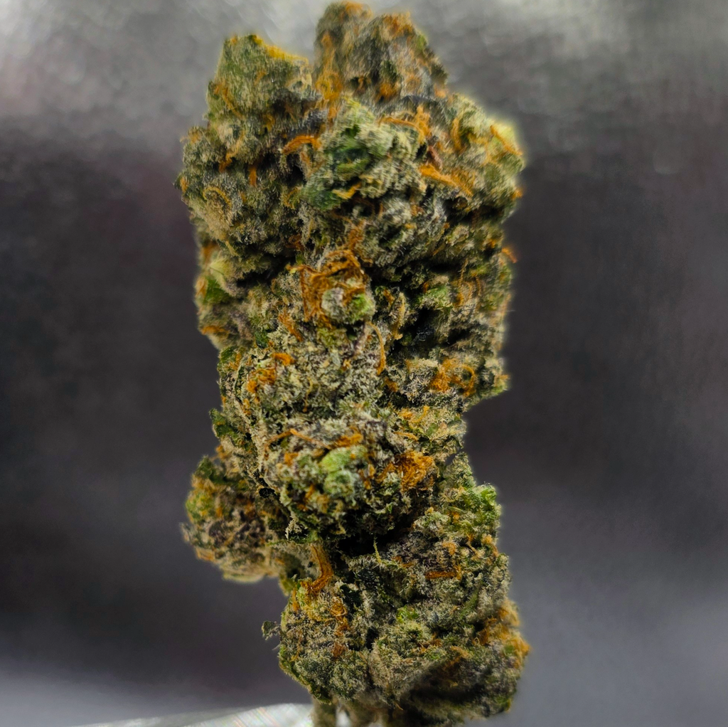 Black Cherry Punch AAAA