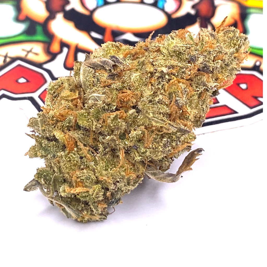 “AAAAA” AMNESIA Haze (LOUD)