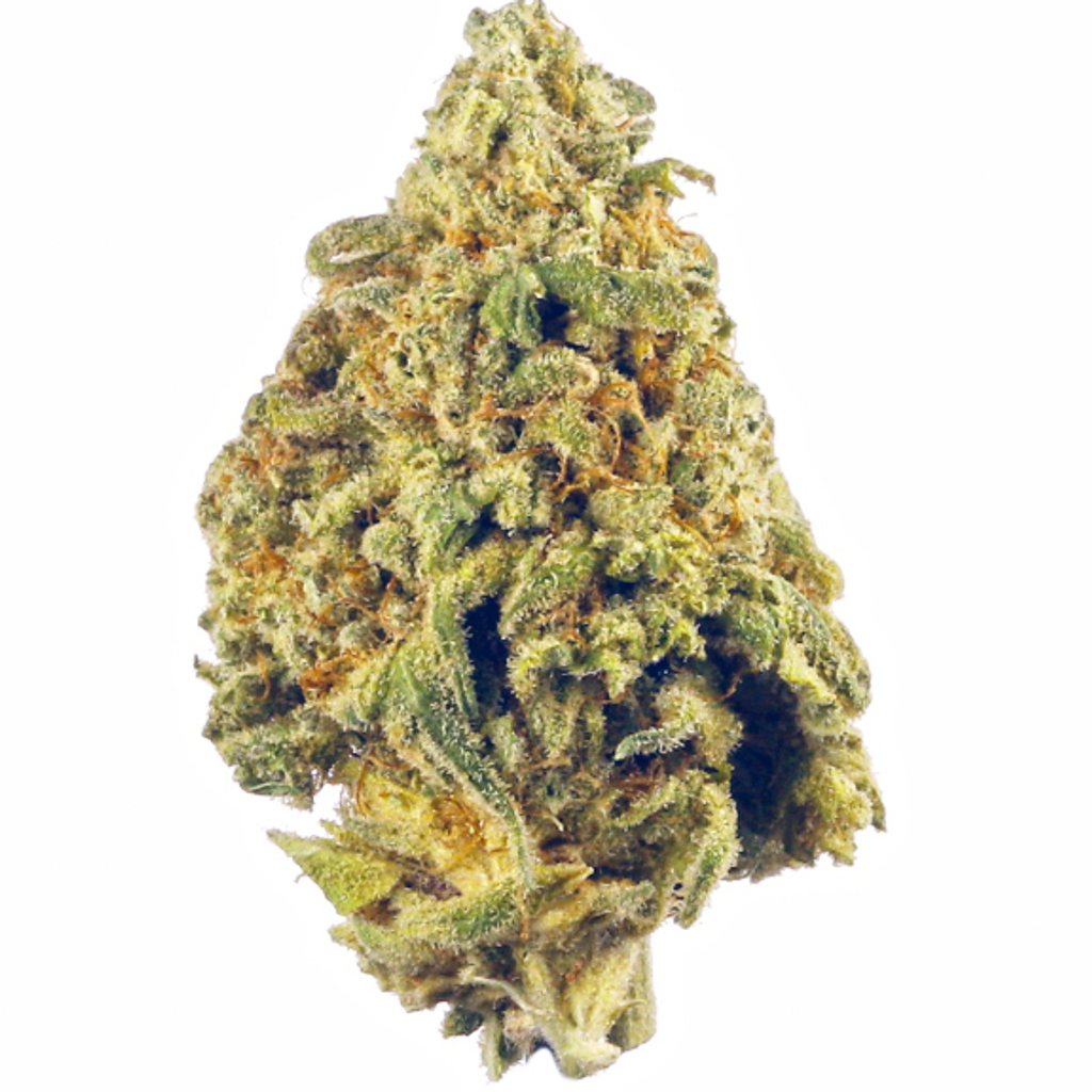 $200 FOR QP - Jungle OG Apples 