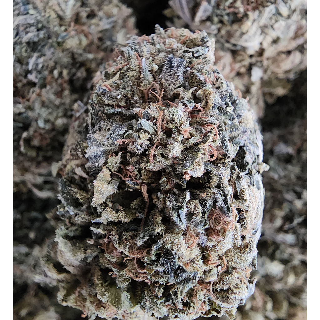 BLUEBERRY HAZE ****SALE***$70oz 2FOR$130 4FOR$250