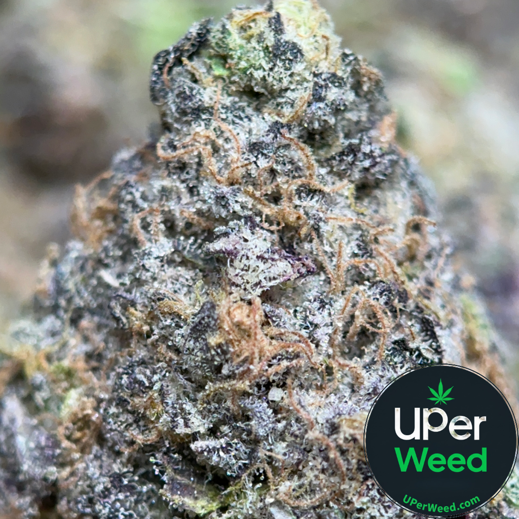 (28G) - Rare Darkness 😮‍💨🌚Indica | 2 Oz Left