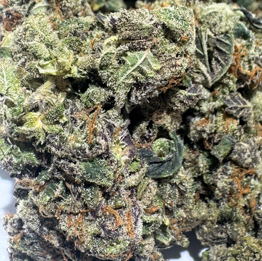 (NEW) El Dorado $75oz