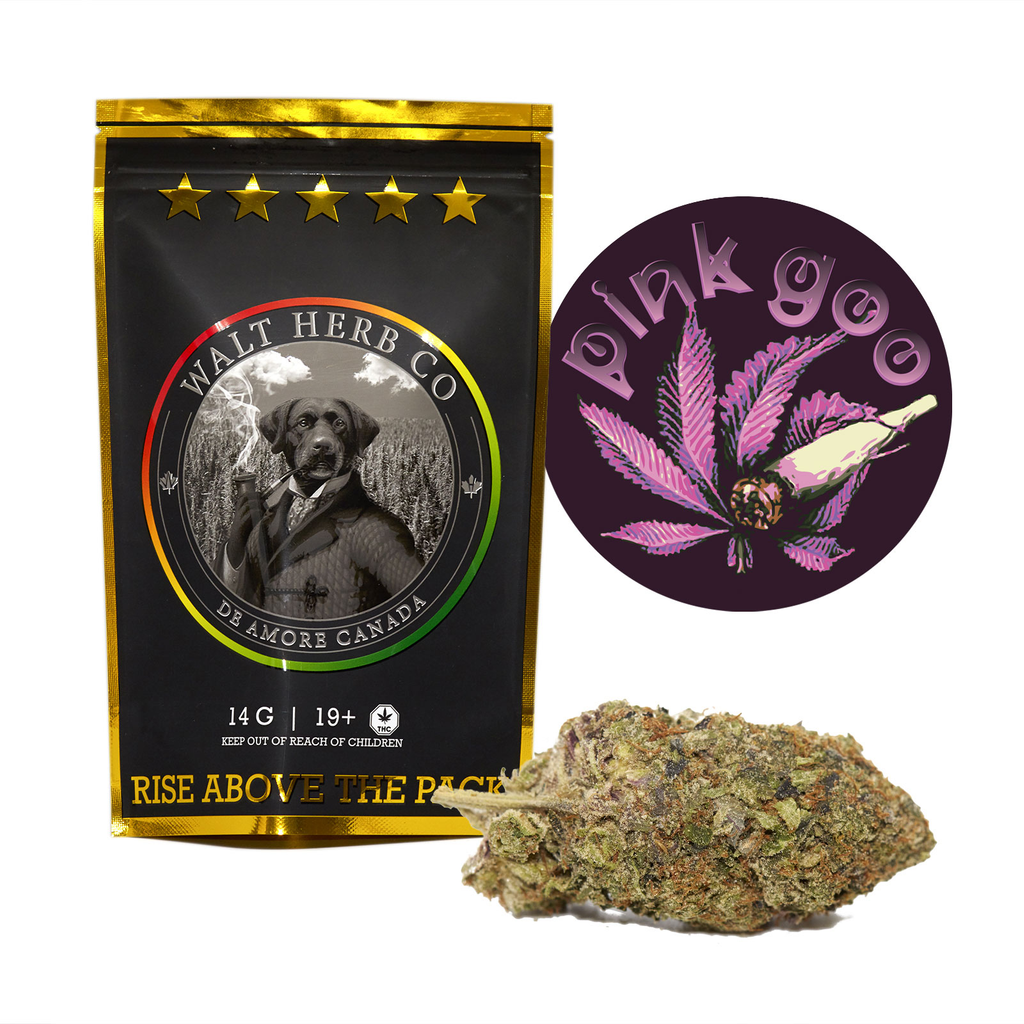 14g by Walt Herb Co.: Pink Goo - 33%