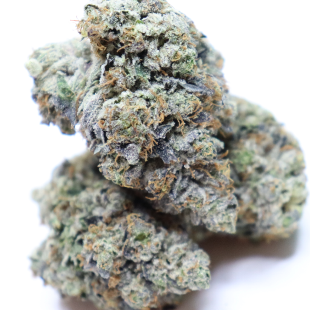 ASTRO PINK AAAA+ NOW 250